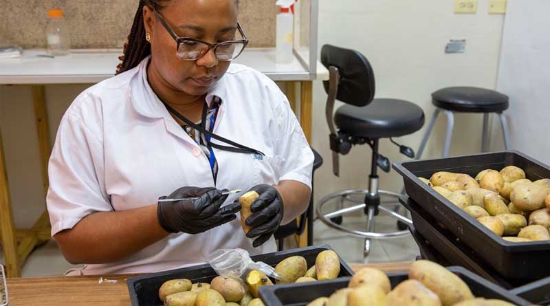 CABI’s Member Countries Urged to Sign Up for Free Science Communication Training for Researchers