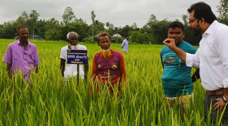 Advancing Direct-seeded Rice Technology In Northern Bangladesh Through Mechanized Clustered Demonstration