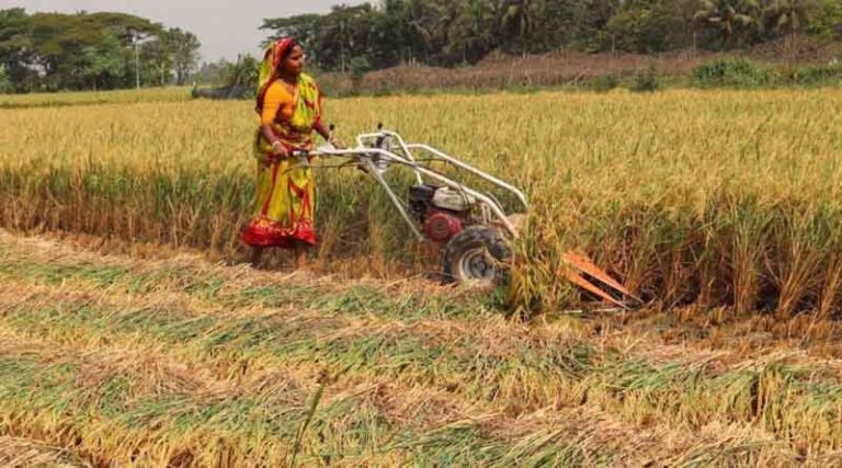 Breaking The Cycle Of Poverty Through Mechanized Farming: The Story Of Madhuri Mallick