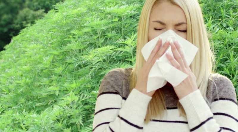 Biological Control Generates ‘desirable Outcomes’ Within All One Health Dimensions, New CABI-led Research Reveals