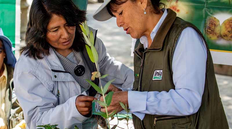Gender Equality And Youth Inclusion: Ten Focus Areas For Impact