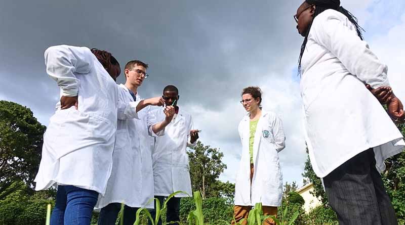 Celebrating 10 Years Of Biocontrol Success: Rwanda’s Journey In Sustainable Pest Management
