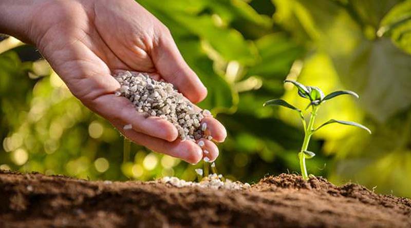 Chelated-Iron Agricultural Micronutrient Market Projected to Reach US$ 258.5 Mn by the End of 2031