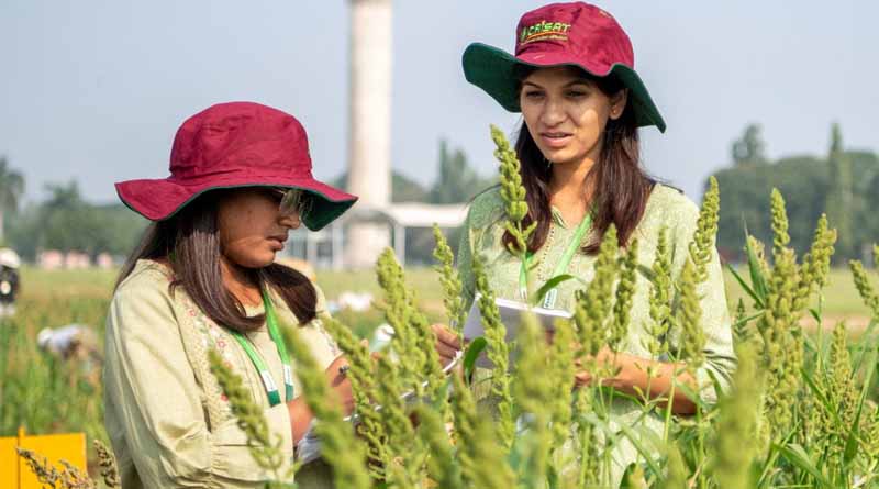 ICRISAT Hosts 3rd Genebank Small Millets Germplasm Field Day and Fosters Collaborative Research