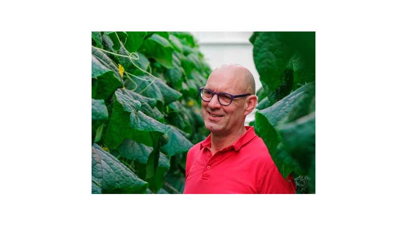 New LED Cucumber trial in Trial Centre Rijk Zwaan