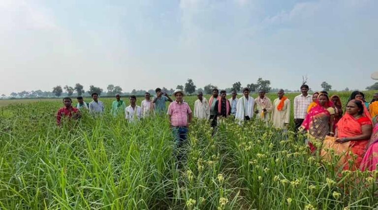 ICRISAT, Bihar Government and Local Partners Advance Food and Nutrition Security through Centre of Excellence for Millets in Gaya