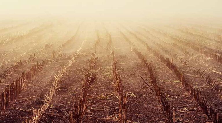 Pollution: Why Are Farmers Alone Being Made Scapegoats?