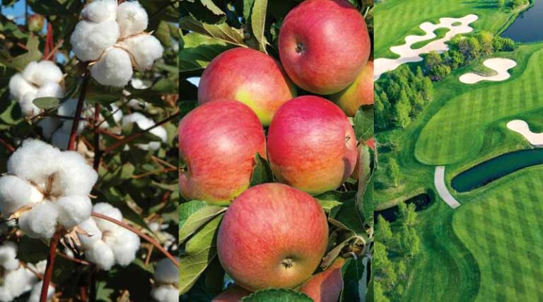 Albaugh Announces Registration of Chlorantraniliprole Products for the Crop Protection and Turf/Ornamental Markets