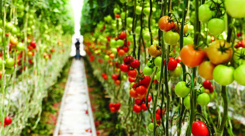 Bayer, Orbia Netafim Expand Collaboration To Advance Digital Farming Technology
