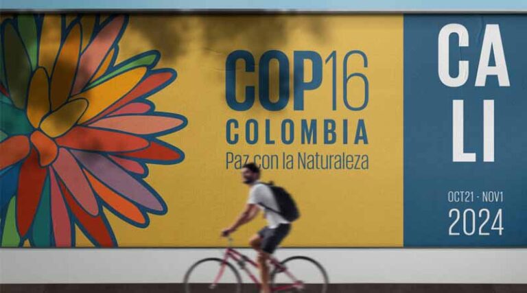 CGIAR at COP16: Advancing Global Commitments for Biodiversity Conservation and Sustainability