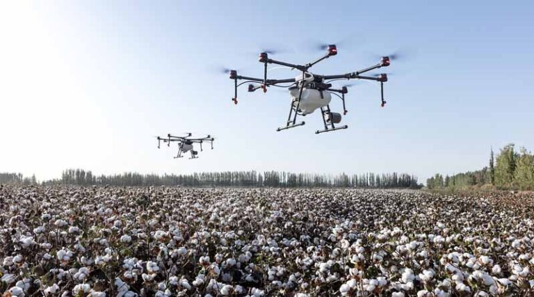 Cleaning Up Cotton: The Role of Cotton in Poverty Reduction & Achieving India’s Sustainable Development Goals