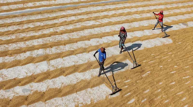 India's Public Distribution System Leaks 28% of Food Grains: A Call for Reform