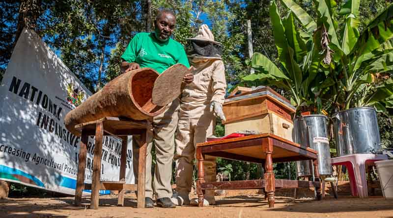 Investing In Families Opens Up Markets