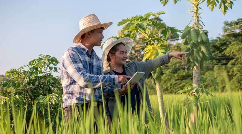 CABI launches FAIR Process Framework To Help Support New Technologies For Greater Global Food Security