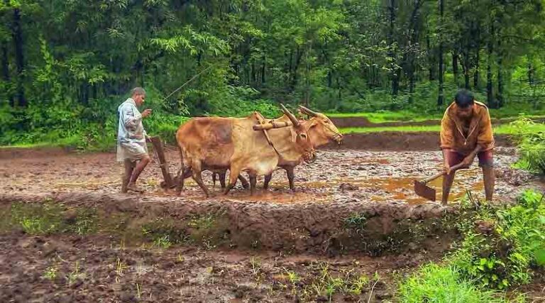 Digitalisation of Primary Agricultural Credit Societies (PACS)