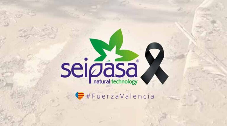 Seipasa Works Tirelessly To Restart Production