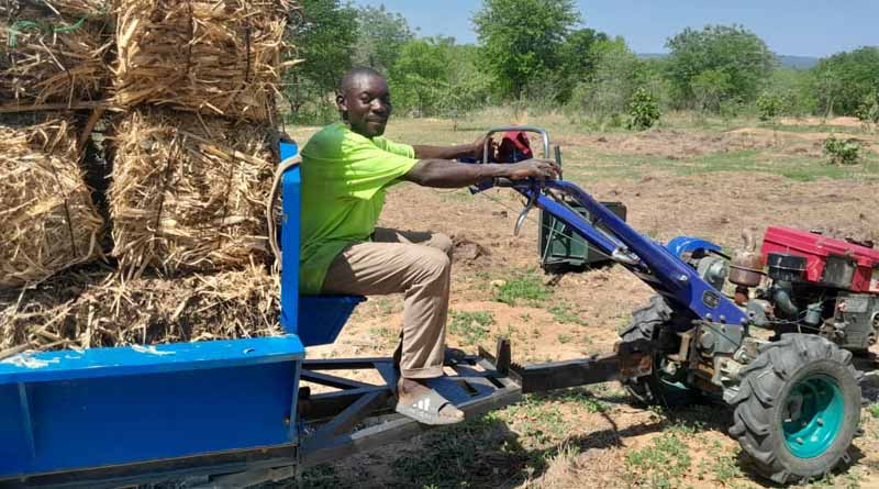 ‘I have Bigger Plans Ahead’ – The Journey Of Tichaona From Odd-job Man To Agricultural Entrepreneur