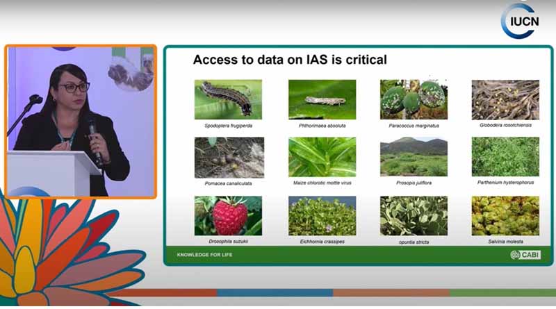 CABI Showcases Horizon Scanning Tool At And Invasive Species Compendium At COP16