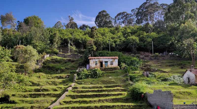 3301 Gram Panchayat Bhawans to Be Constructed Across India