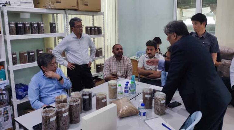 Building Partnerships for Innovative Rice Straw Management: Key to a Greener Future