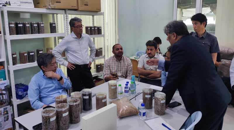 Building Partnerships for Innovative Rice Straw Management: Key to a Greener Future