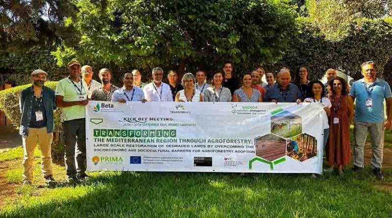 Transformed Project: Promoting Agroforestry To Regenerate Degraded Soils In The Southern Mediterranean Basin