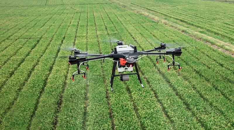 COP29: Artificial Intelligence Can Help Develop Climate-resistant Crops For Africa