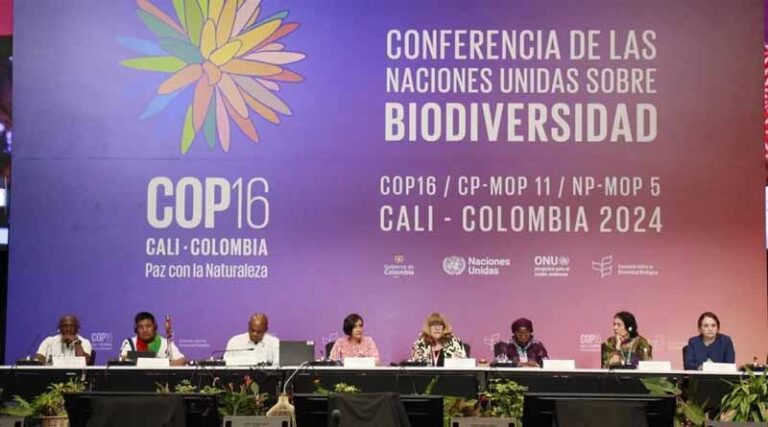 COP16 Recap: New Fund, Indigenous Rights and Colombia’s Treaty Step