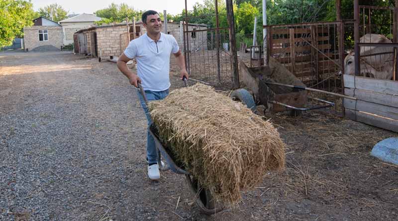 Nomadic Roots, Modern Routes