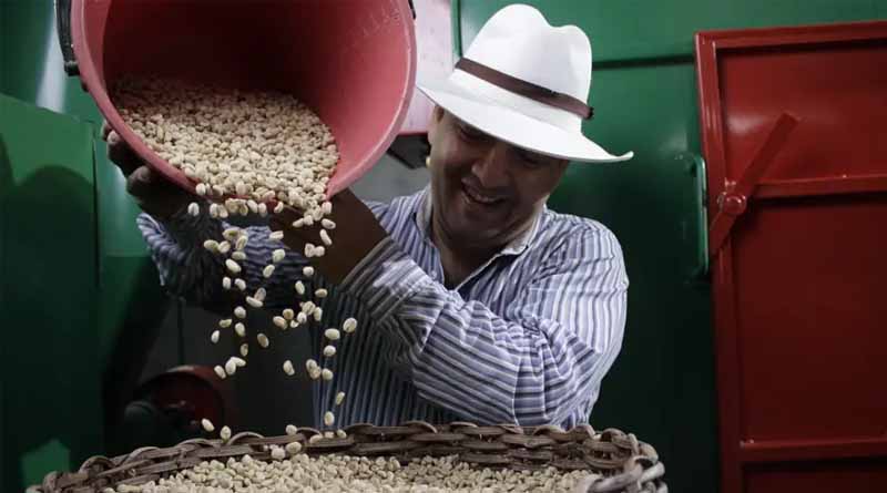 Yara Supplies Cooxupé With Brazil's First Batch Of Lower Carbon Fertilizer