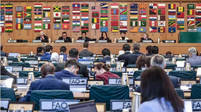 Director-General Addresses The Joint Meeting Of FAO Programme And Finance Committees