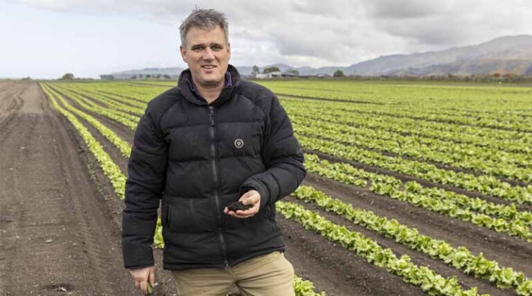 Coastal Block Ideal For Vegetables
