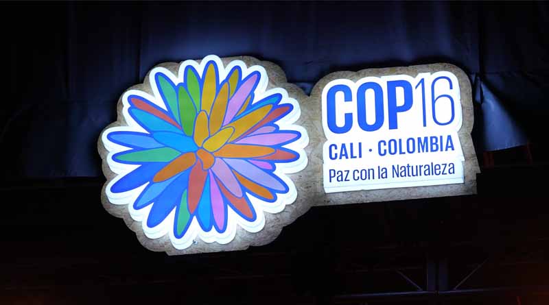 FAO's call for Agrifood Systems Transformation Resounds at UN Biodiversity COP16 in Colombia