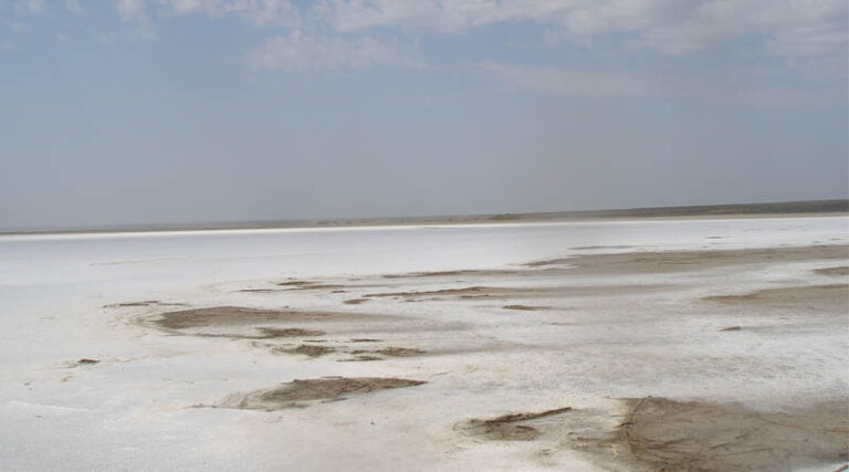 FAO Launches First Major Global Assessment Of Salt-affected Soils In 50 Yearsa