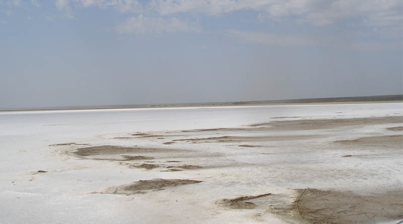 FAO Launches First Major Global Assessment Of Salt-affected Soils In 50 Yearsa