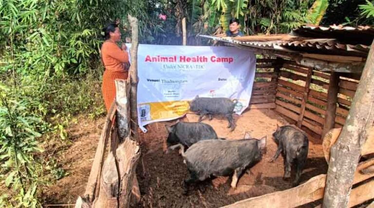Animal Health Camp Organized Under NICRA-TDC Project To Empower Farmers
