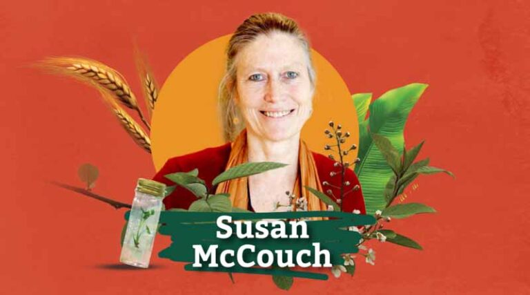 Susan McCouch: Pioneer of Modern Rice Breeding