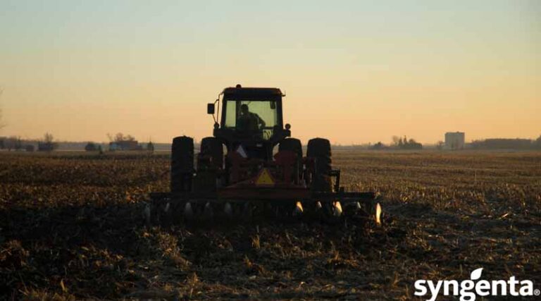 Get 'Net-Zero Ready' With Malting Barley
