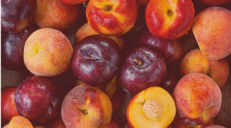 Season's First South African Stone Fruits Arrive in India - A Feast of Freshness and Flavor