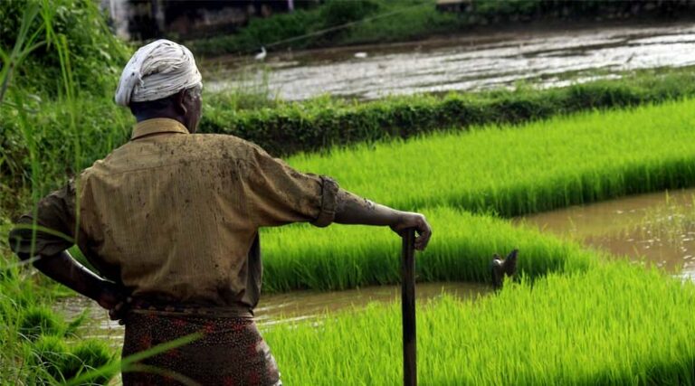 Big Boost for Indian Farmers: RBI Raises Collateral-Free Loan Limit to ₹2 Lakh