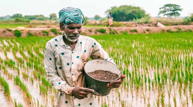 Indian Government Revises Fertilizer Control Order to Enhance Quality Monitoring