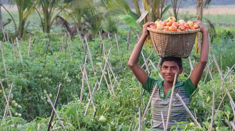 Transforming Bangladesh’s Agriculture Through New Trade Capacity Building Program