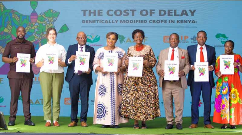 Price Of Fear: Estimating Cost Of Delayed Uptake Of GM Crops In Kenya