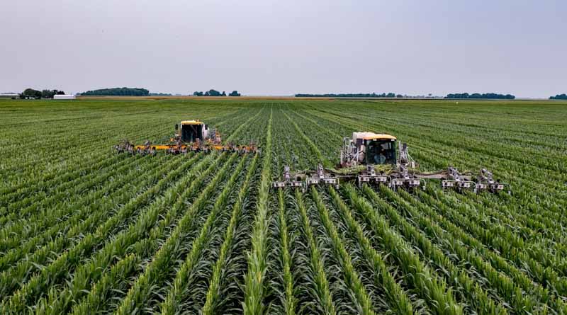 Pesticide Registration, the Main Barrier to Market Access in Brazil