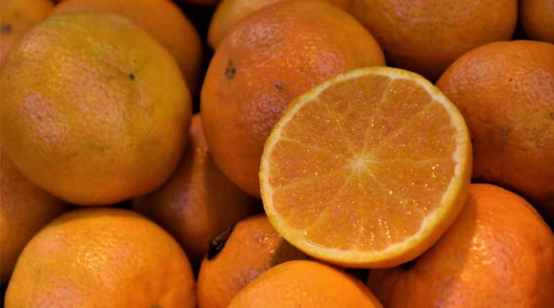 Current Circumstances of Citrus In India