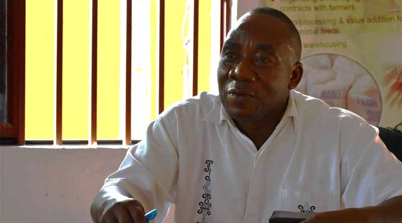 Navigating The Seed Market And Transforming Agricultural Productivity