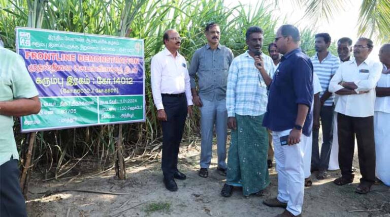 Field Day for New Sugarcane Variety ‘Co 14012’ Organized