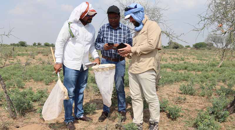 FAO Strengthens Desert Locust Monitoring and Forecasting Capacities in India
