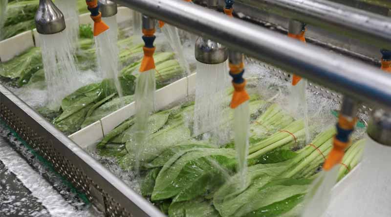 Empowering Food Entrepreneurs: Government's Incentives for Food Processing Units