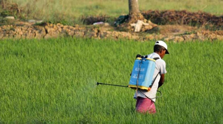 Can YES-TECH Technology in PMFBY Provide Accurate Crop Assessments